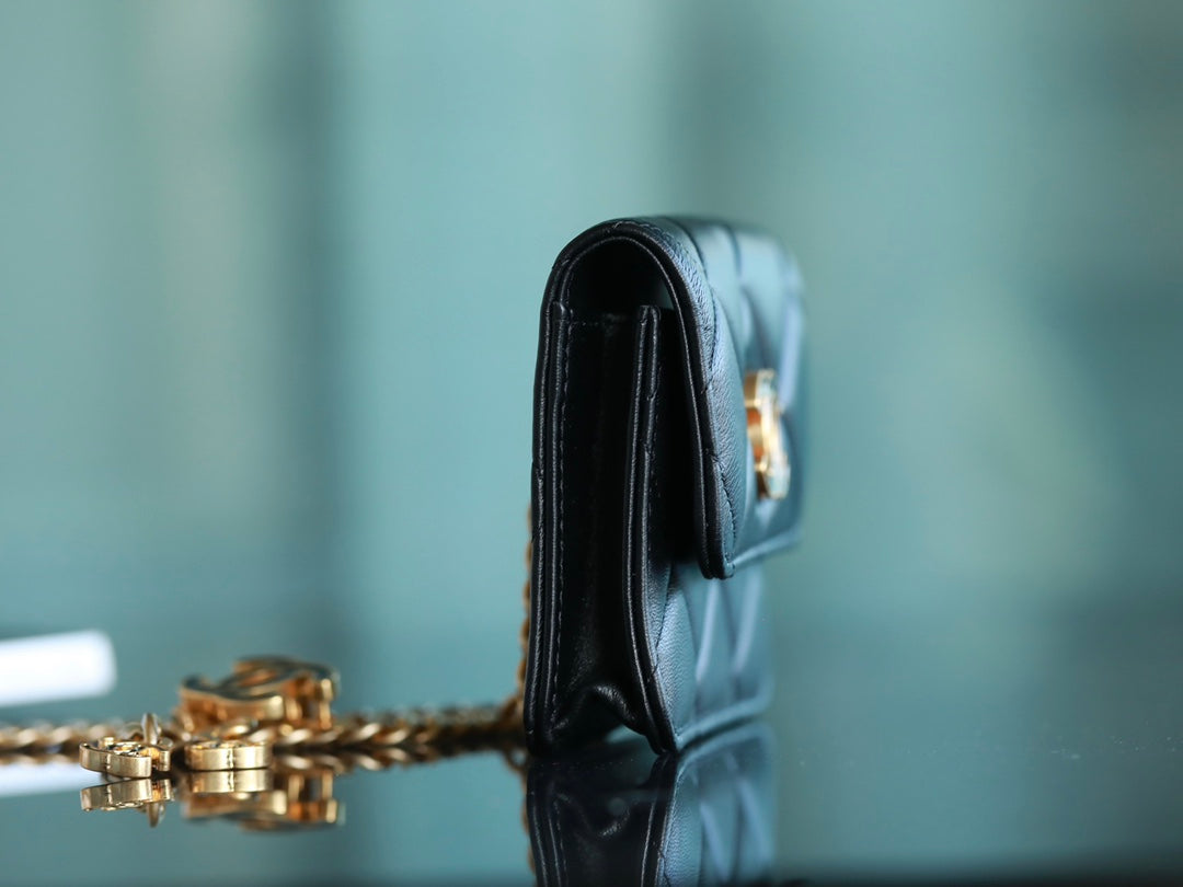 0528 Pending Belt Clutch on Chain in Black Lambskin AGHW 0528 Pending Belt Clutch on Chain in Black Lambskin AGHW