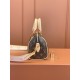 0528 Speedy Bandoulière 20 Monogram Handbags 0528 Speedy Bandoulière 20 Monogram Handbags