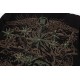 0717 The latest back intricate embroidery craft shirt jacket 0717 The latest back intricate embroidery craft shirt jacket