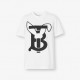 Cotton T-shirt Cotton T-shirt