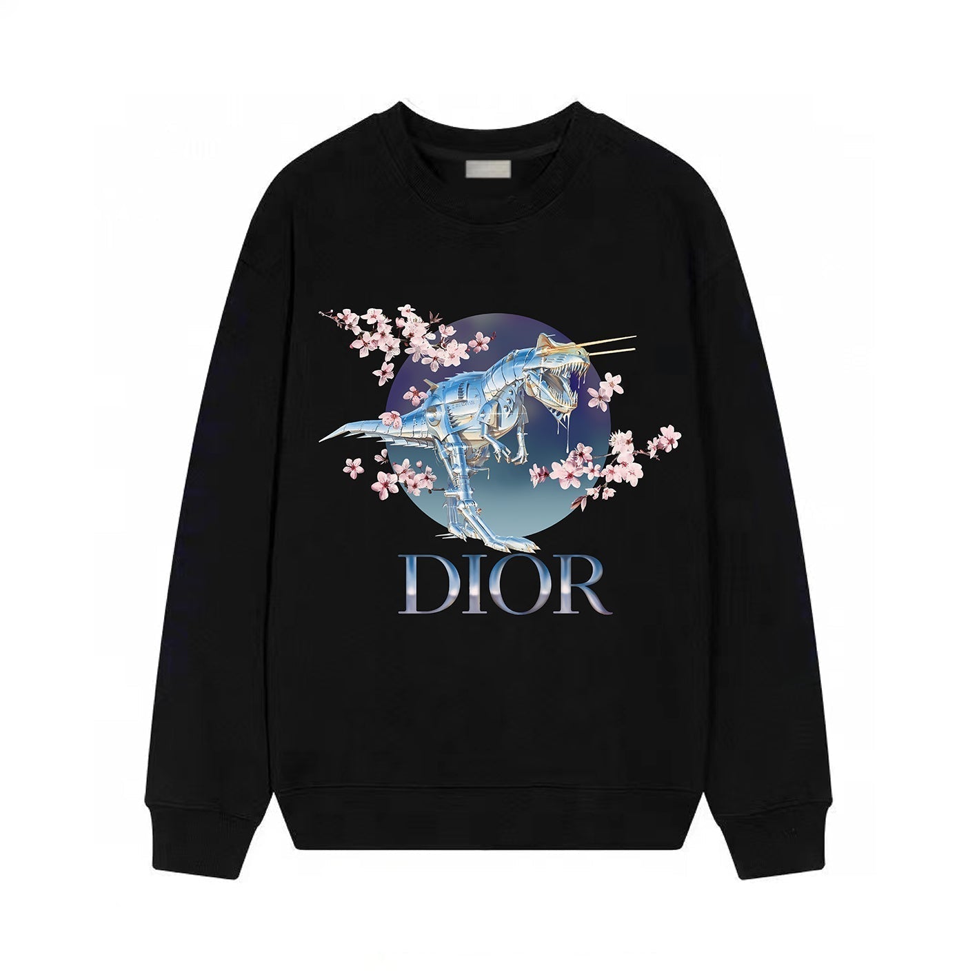 DINOSAUR Print Sweatshirt DINOSAUR Print Sweatshirt